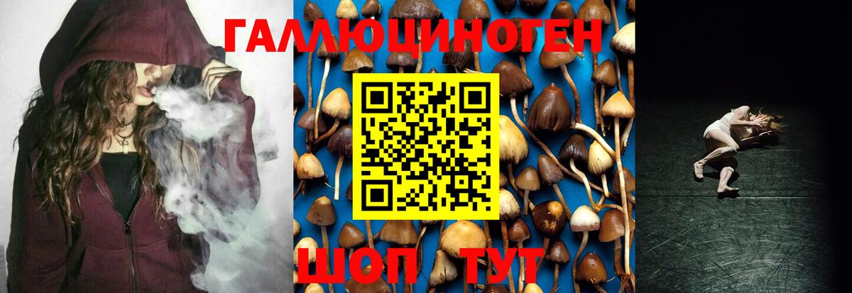Галлюциногенные грибы Psilocybe  Галлюциногенные грибы ЛСД  дарнет шоп  Вход с VPN  Ставрополь 